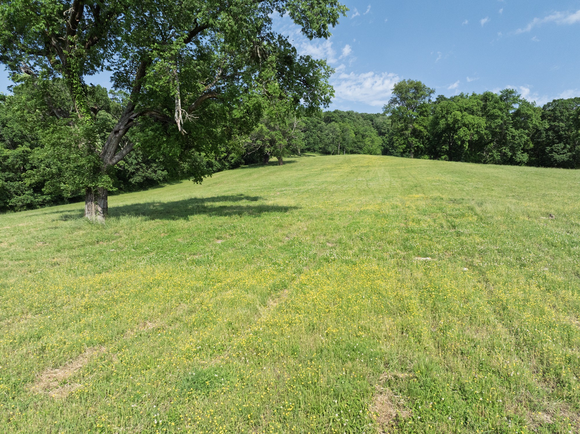 1381 Old Hillsboro Rd