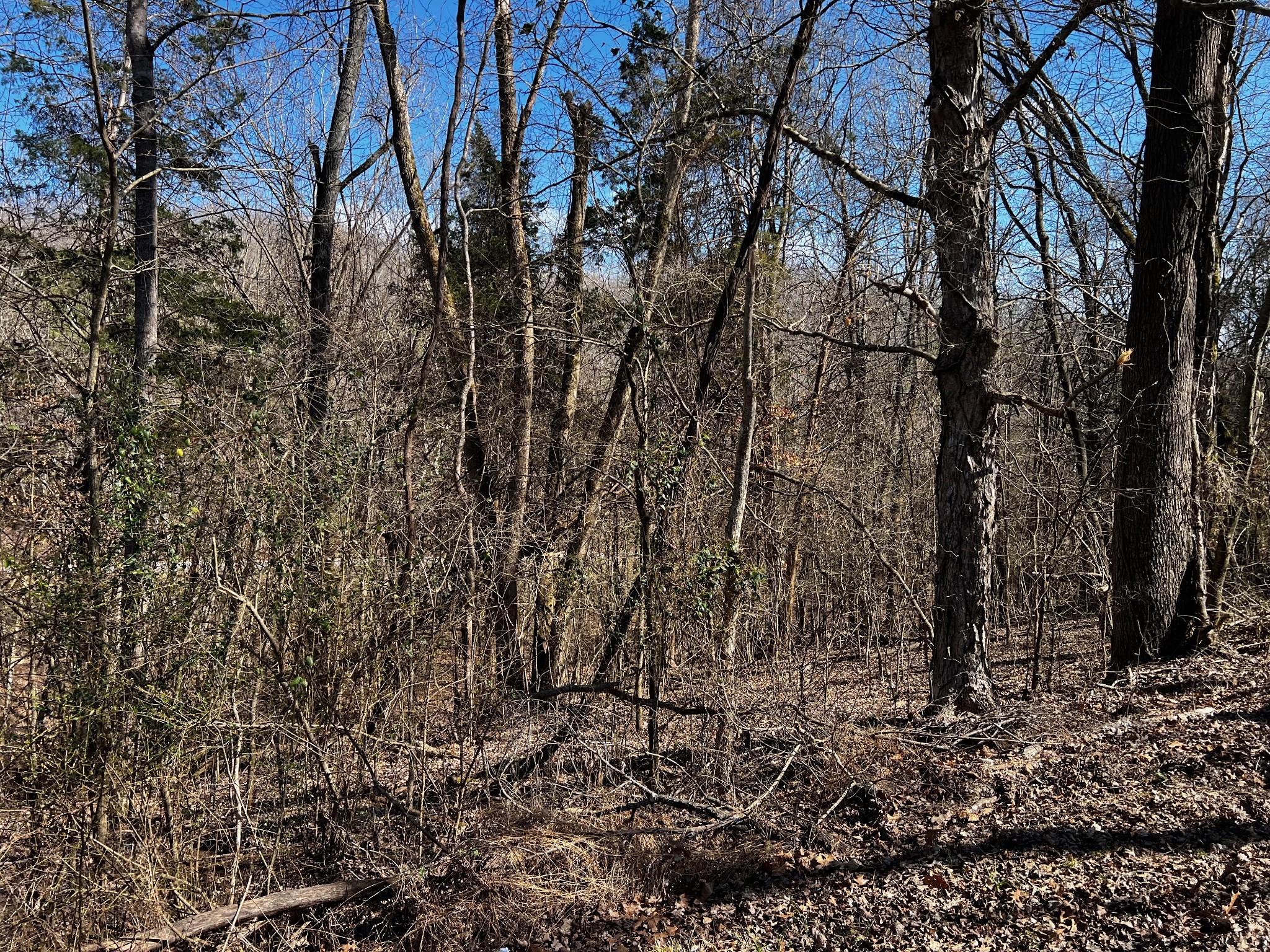 0 Lakeshore Dr