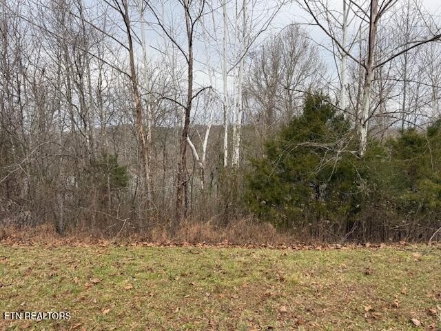 152 Pineberry East Rd