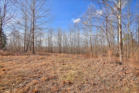 98 Saddleback Drive Dover TN 37058