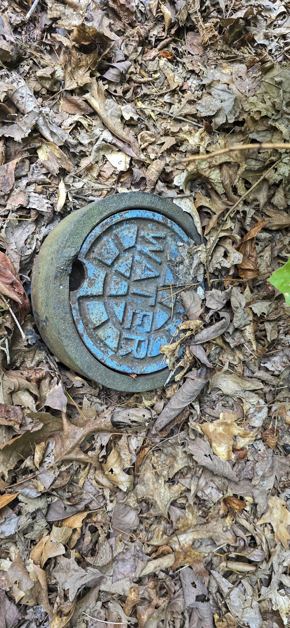 0 Calico Ln