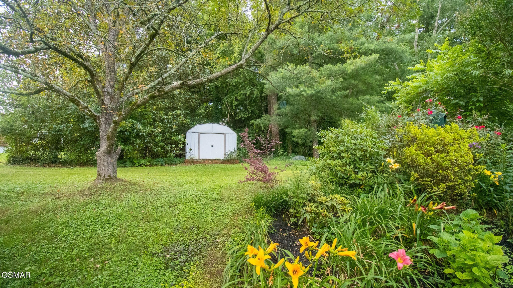 321 Creekmoor Drive