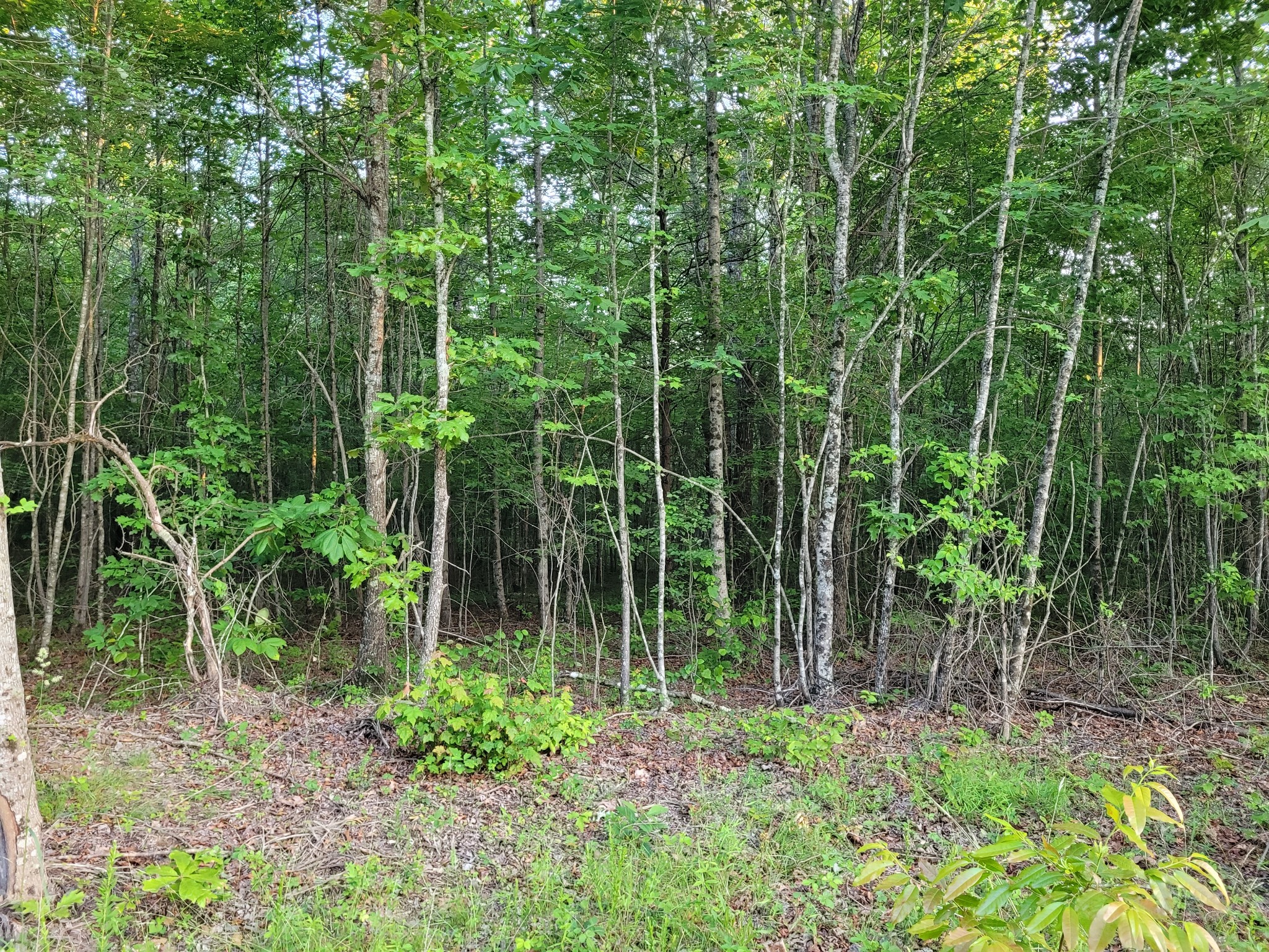 202122 Camp Creek Rd