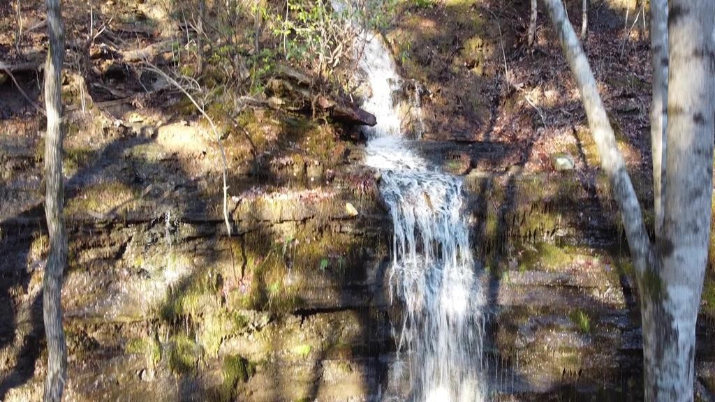 202122 Camp Creek Rd