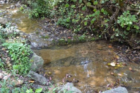 0 Campbell Hill Rd Gainesboro TN 38562