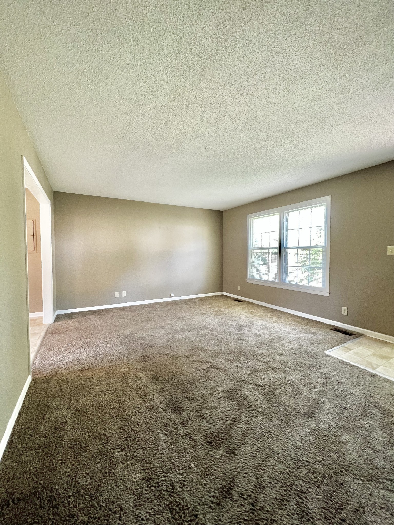 1803 Palamino Drive