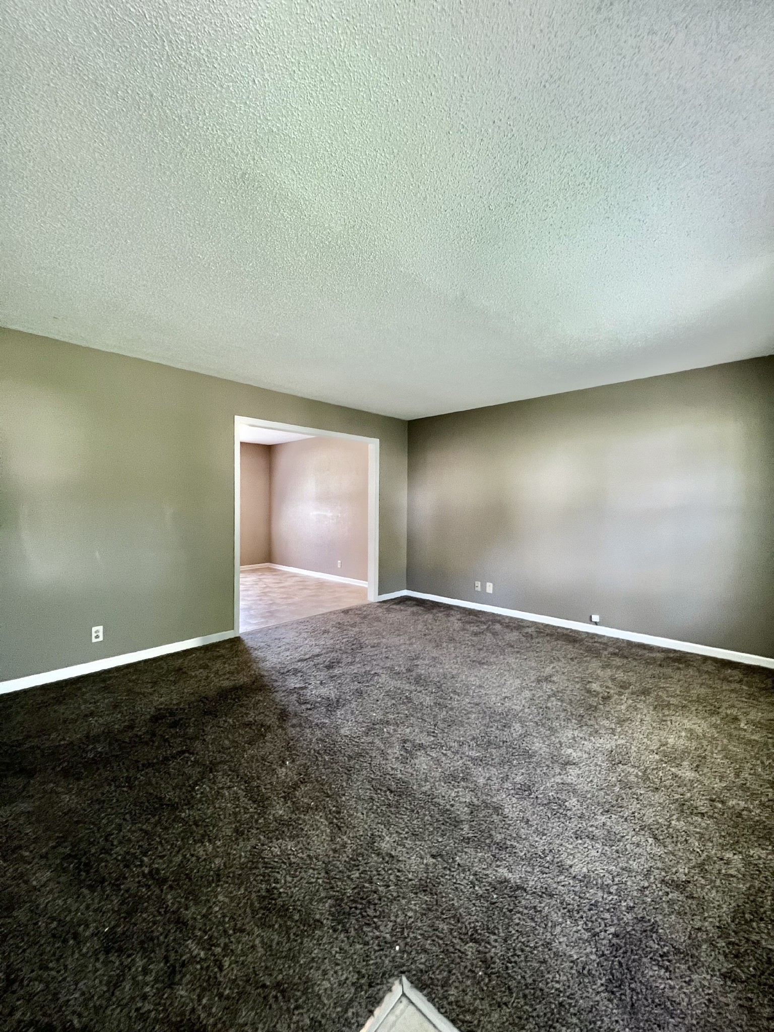 1803 Palamino Drive