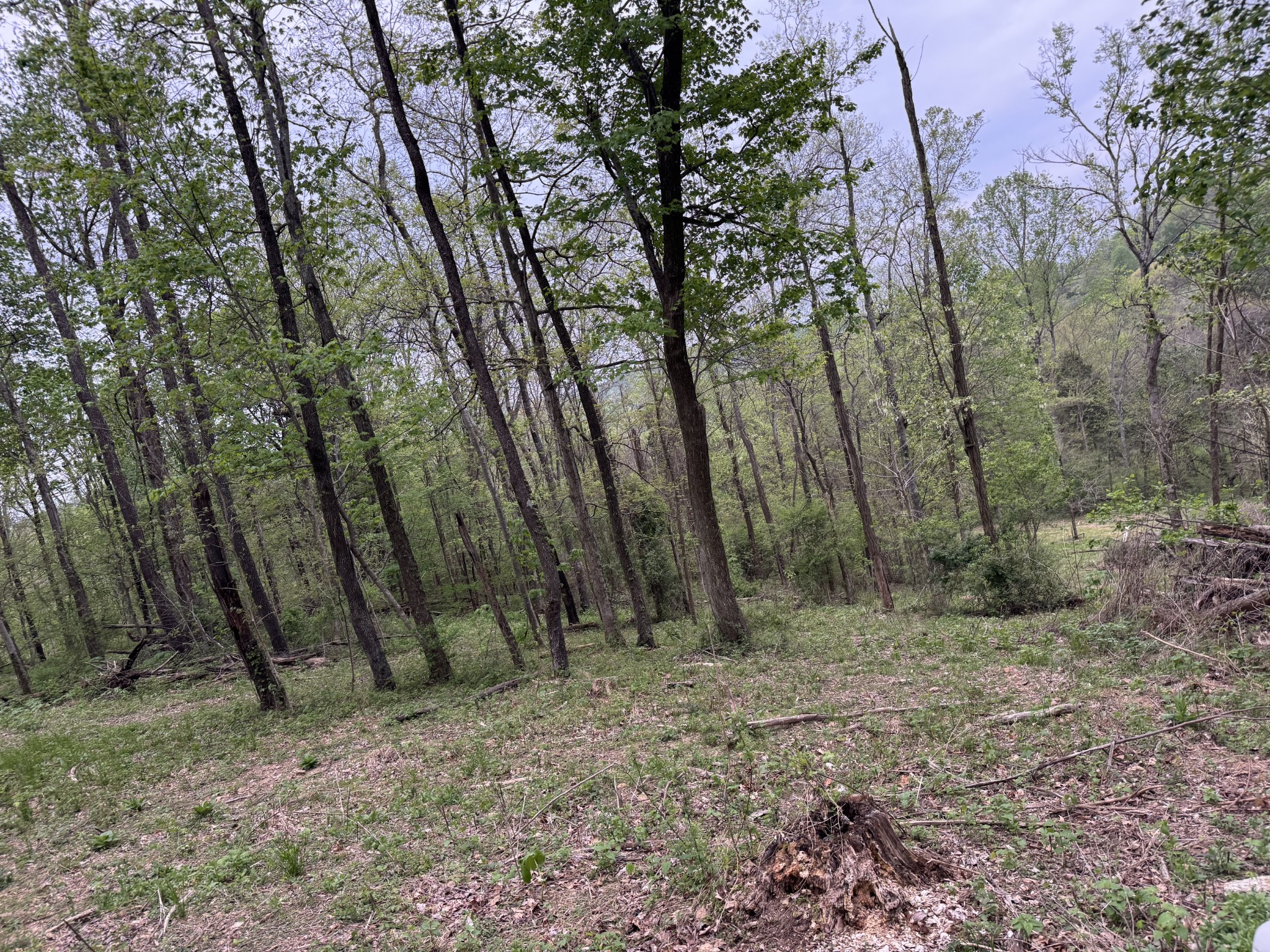 1323 Rock Bridge Rd