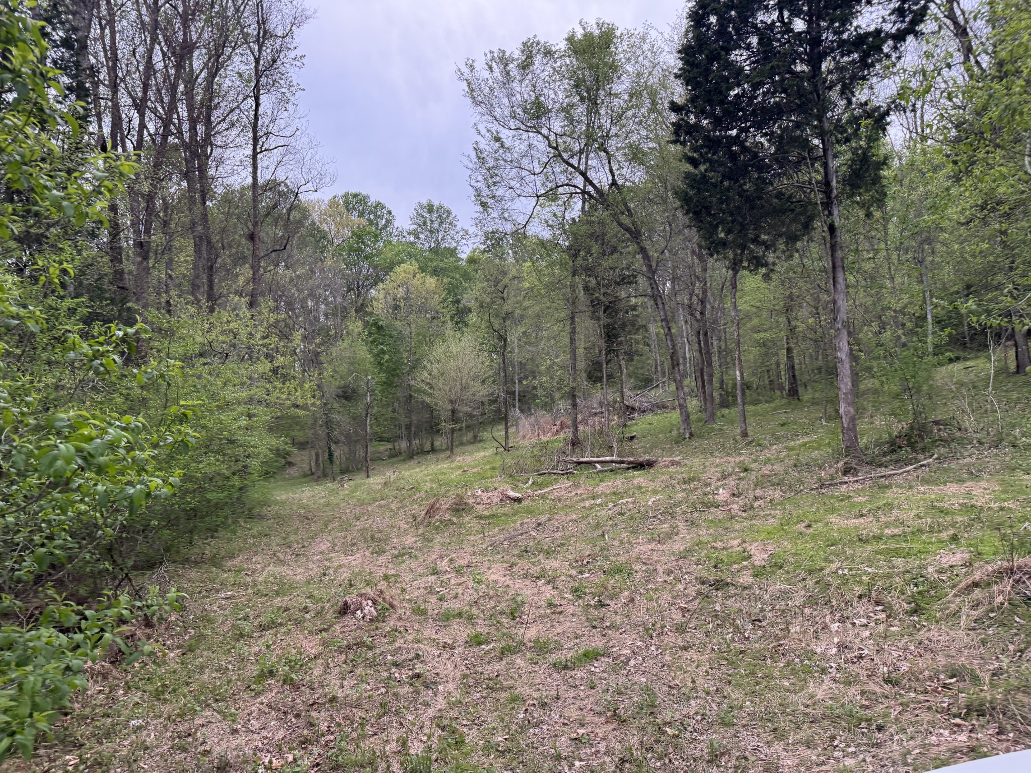 1323 Rock Bridge Rd