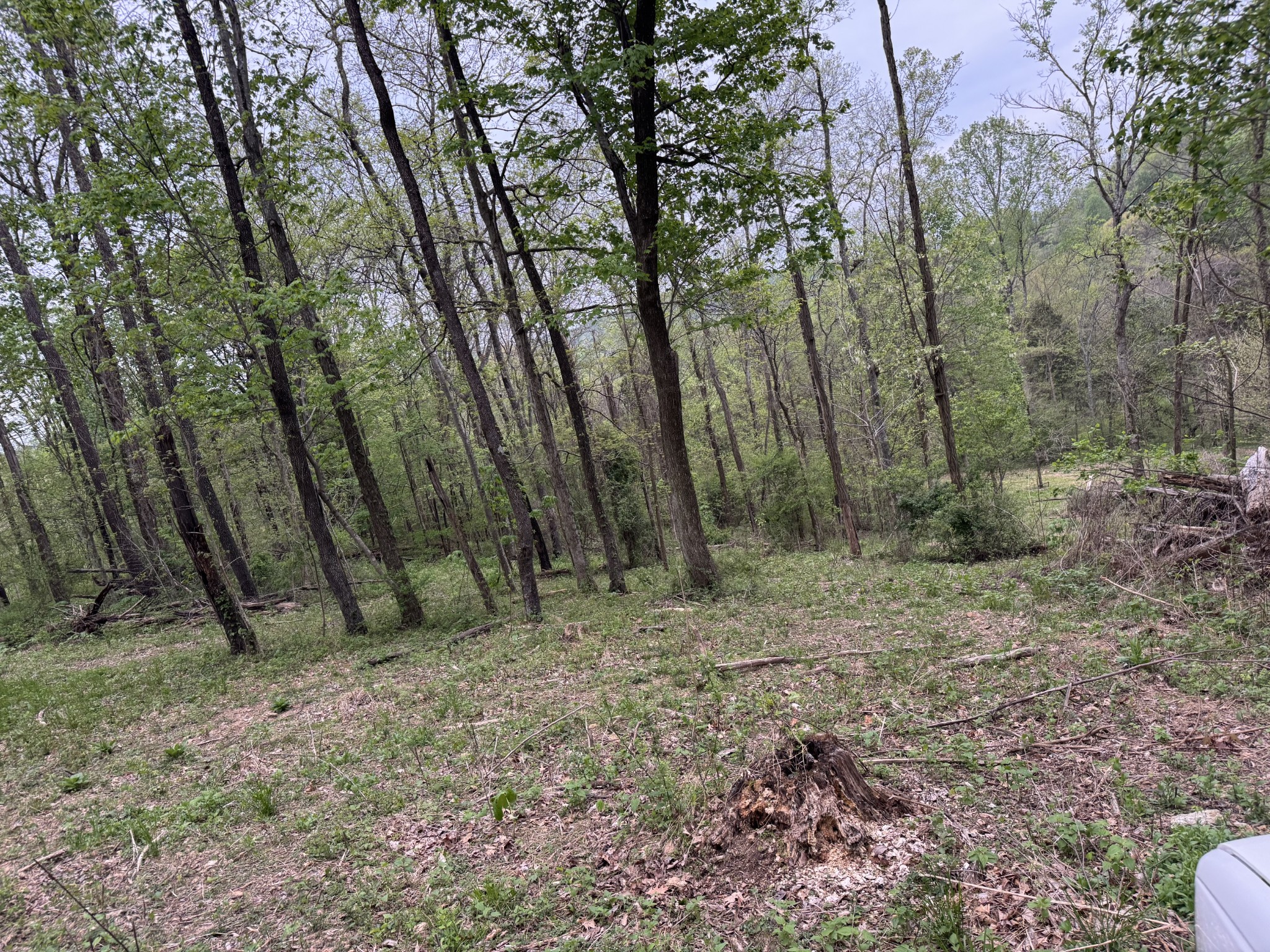 1323 Rock Bridge Rd
