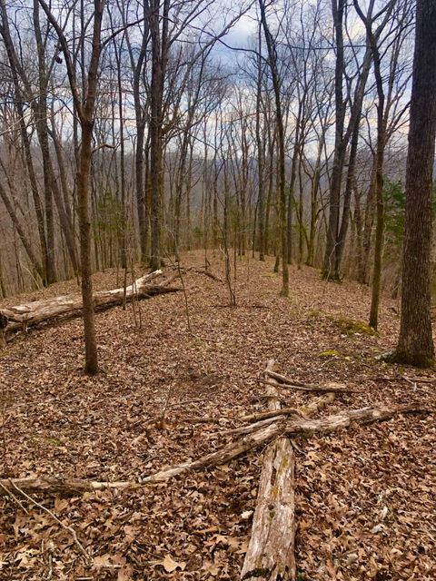 0 Simpkins Rd Whites Creek TN 37189