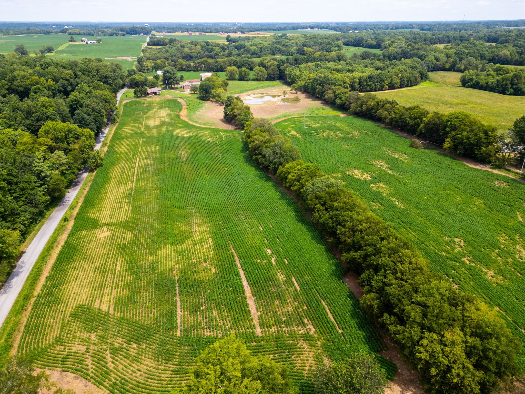 5016 Caney Sink Rd