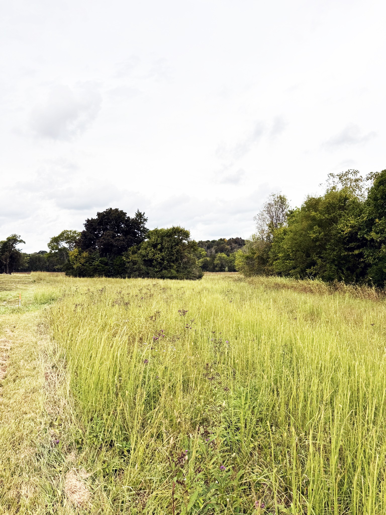 9245 Trousdale Ferry Pike