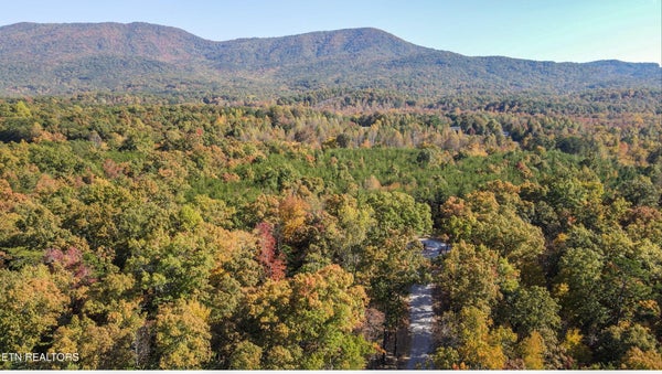 103 CHEROKEE PATH, TELLICO PLAINS, TN 37385 - Image 3fe3f908b45be031c836e8d27cc362d3/2349341559