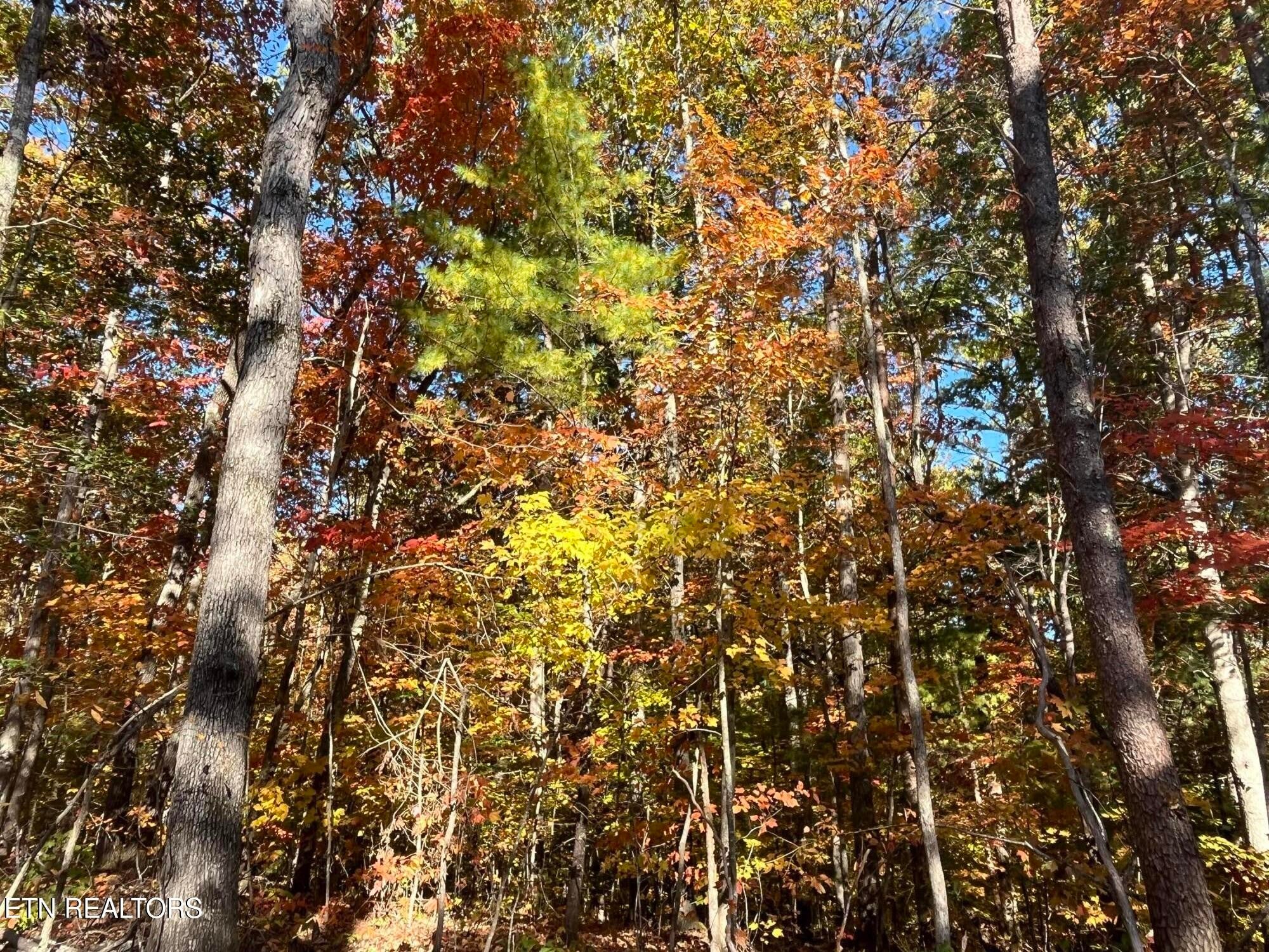 103 Cherokee Path