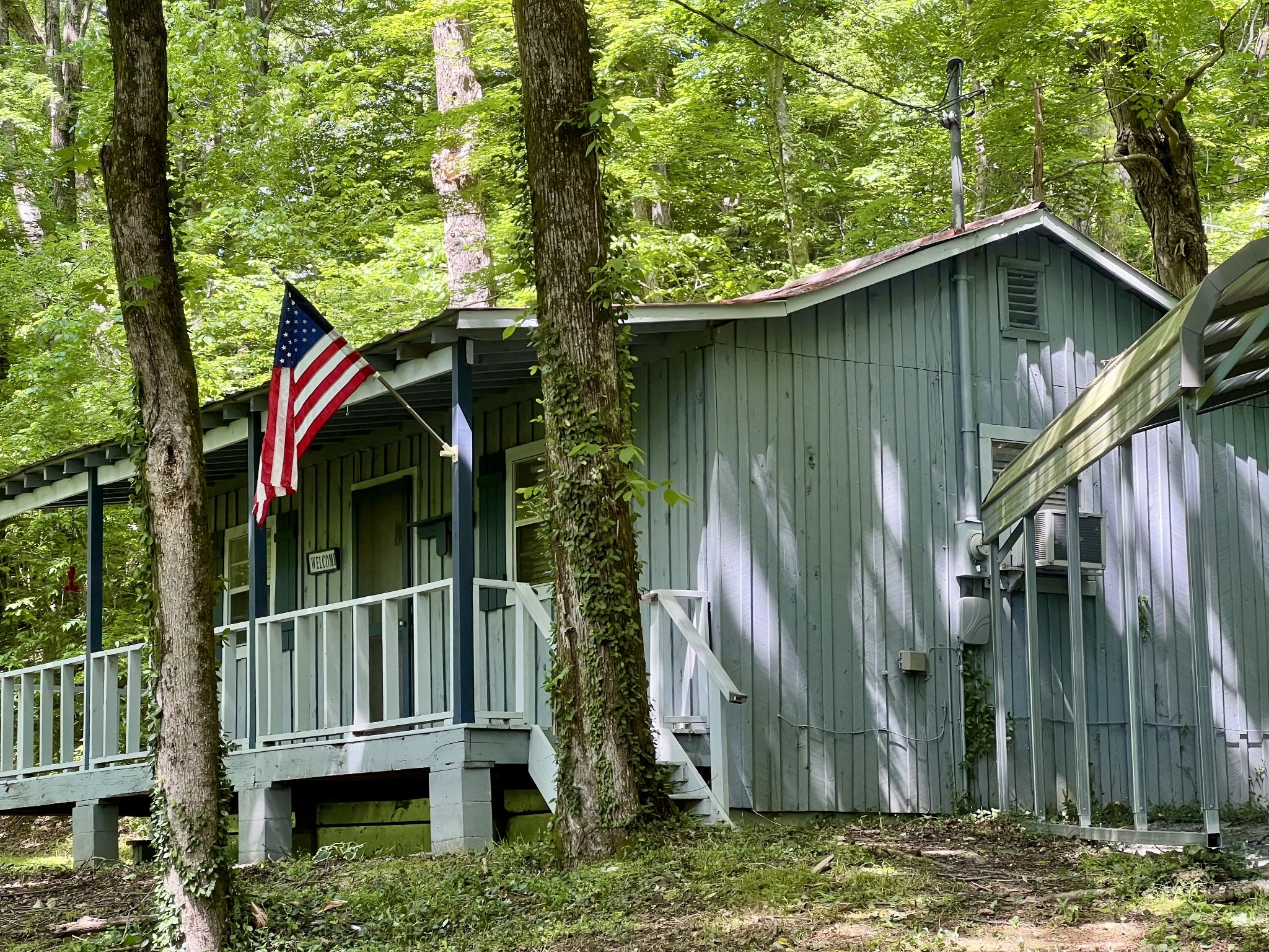 219 Coys Cove Ln