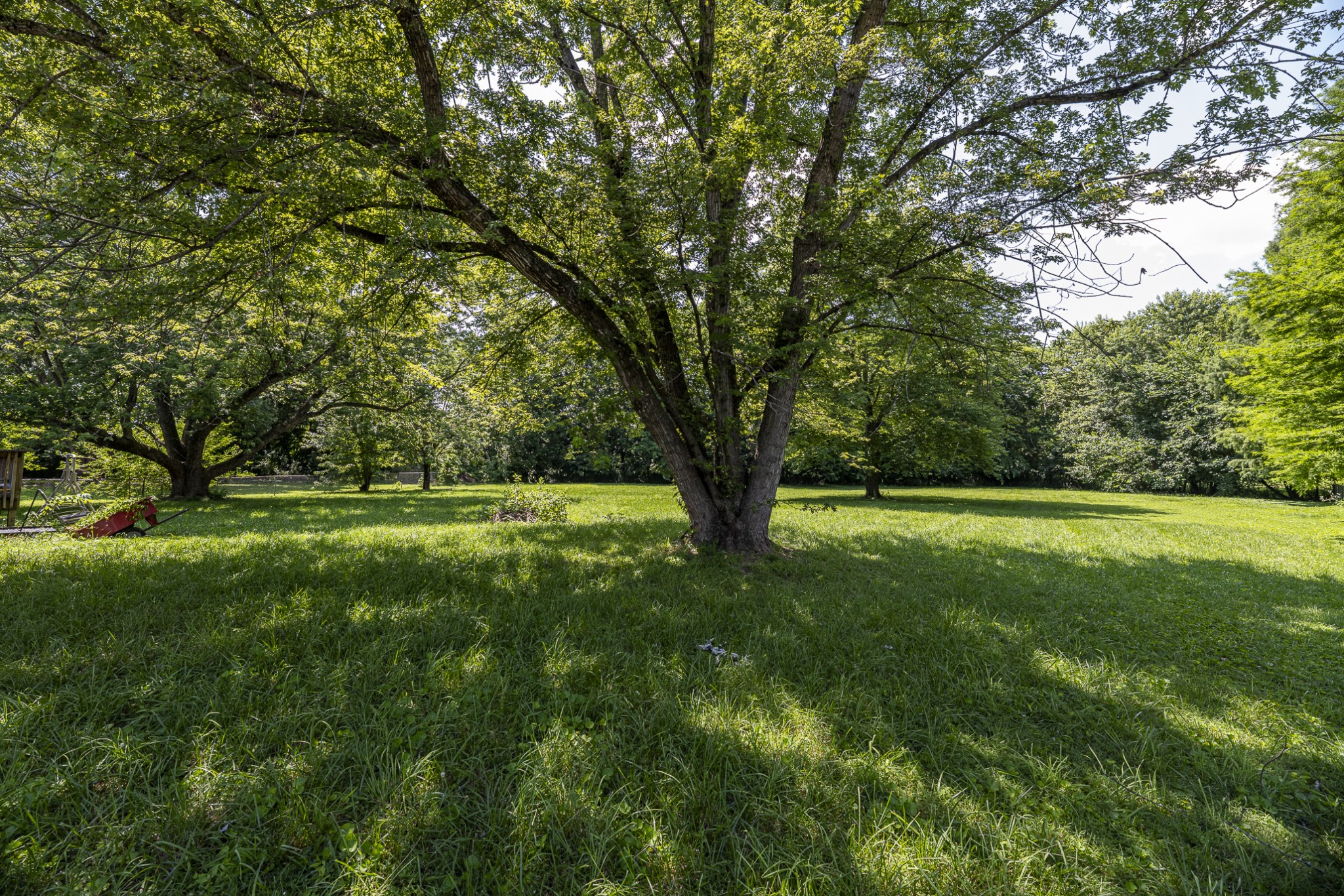 Clarksville, Tennessee 37040, United States, 3 Bedrooms Bedrooms, ,1 BathroomBathrooms,Residential,Coming Soon,135522