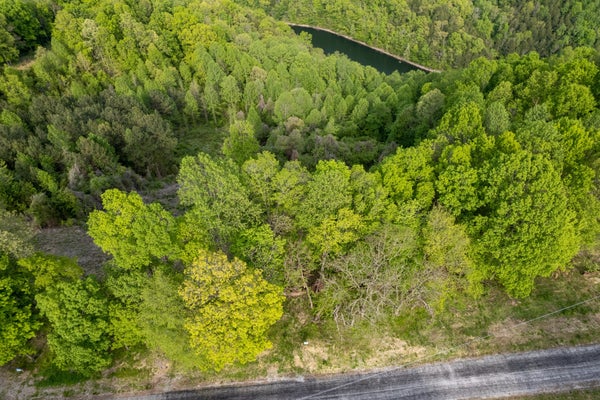 16 CALEB WAY, BAXTER, TN 38544 - Image 402be9f7dd34606331c00bd2ce5d0e96/3765203786