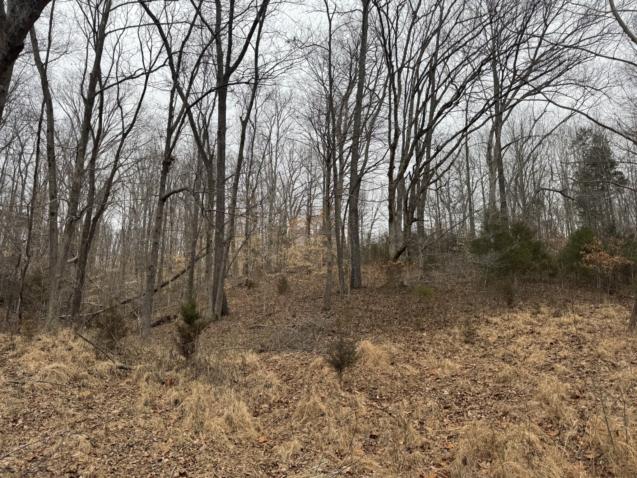 2250 Indian Creek Rd