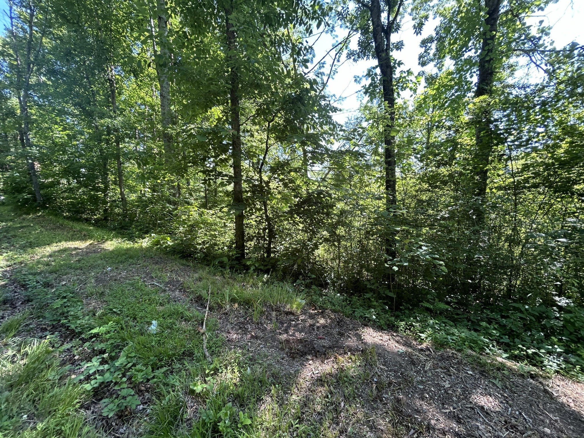 0 Dr Johnson Road