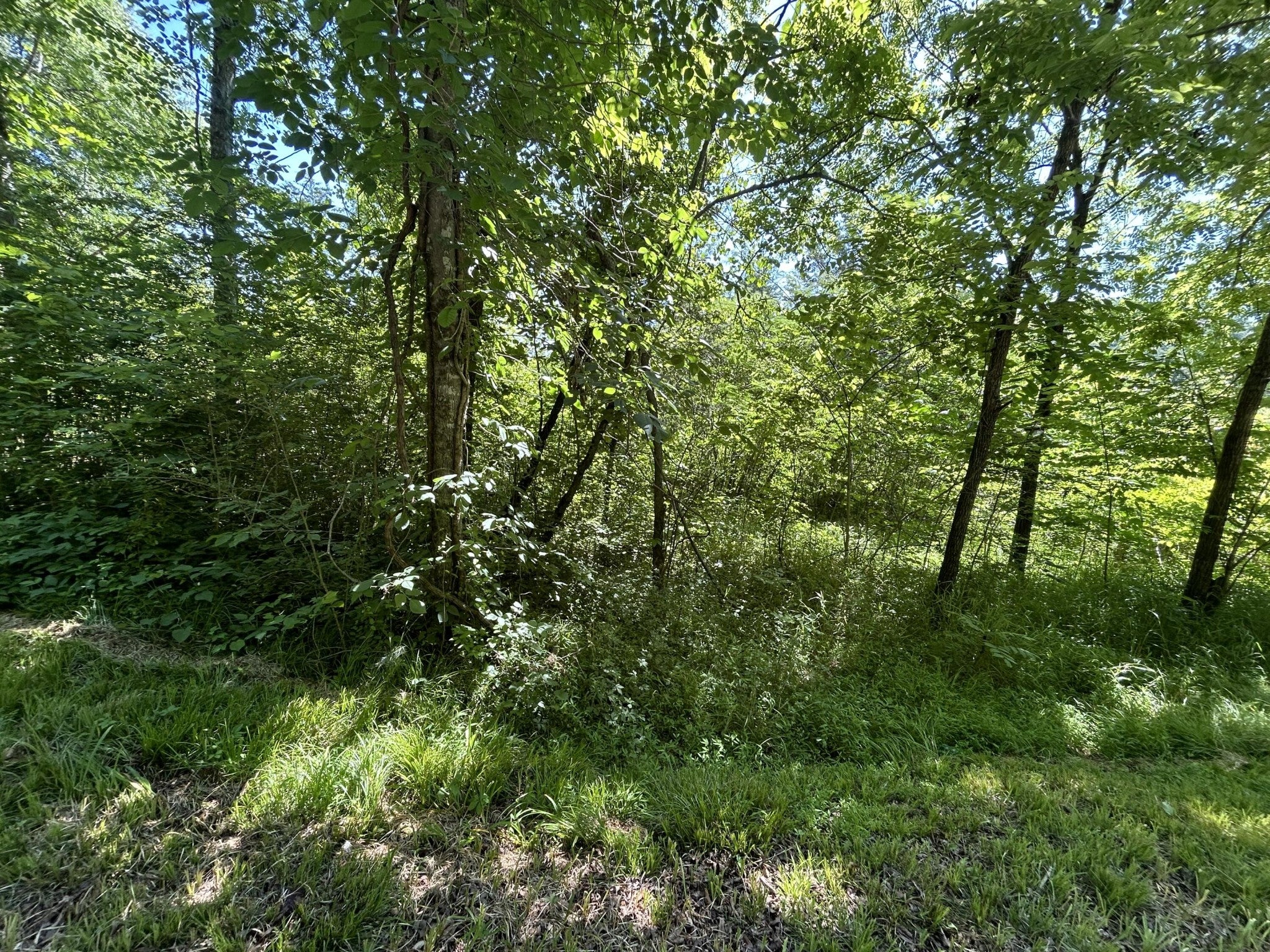 0 Dr Johnson Road
