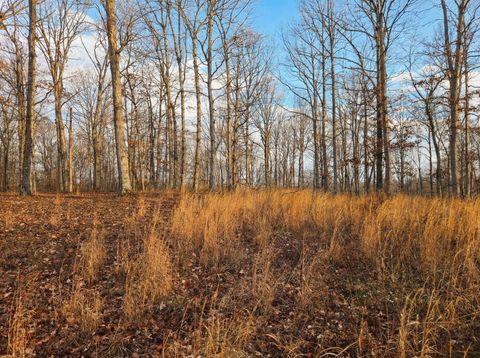 0 Havenwood Rd Mc Ewen TN 37101