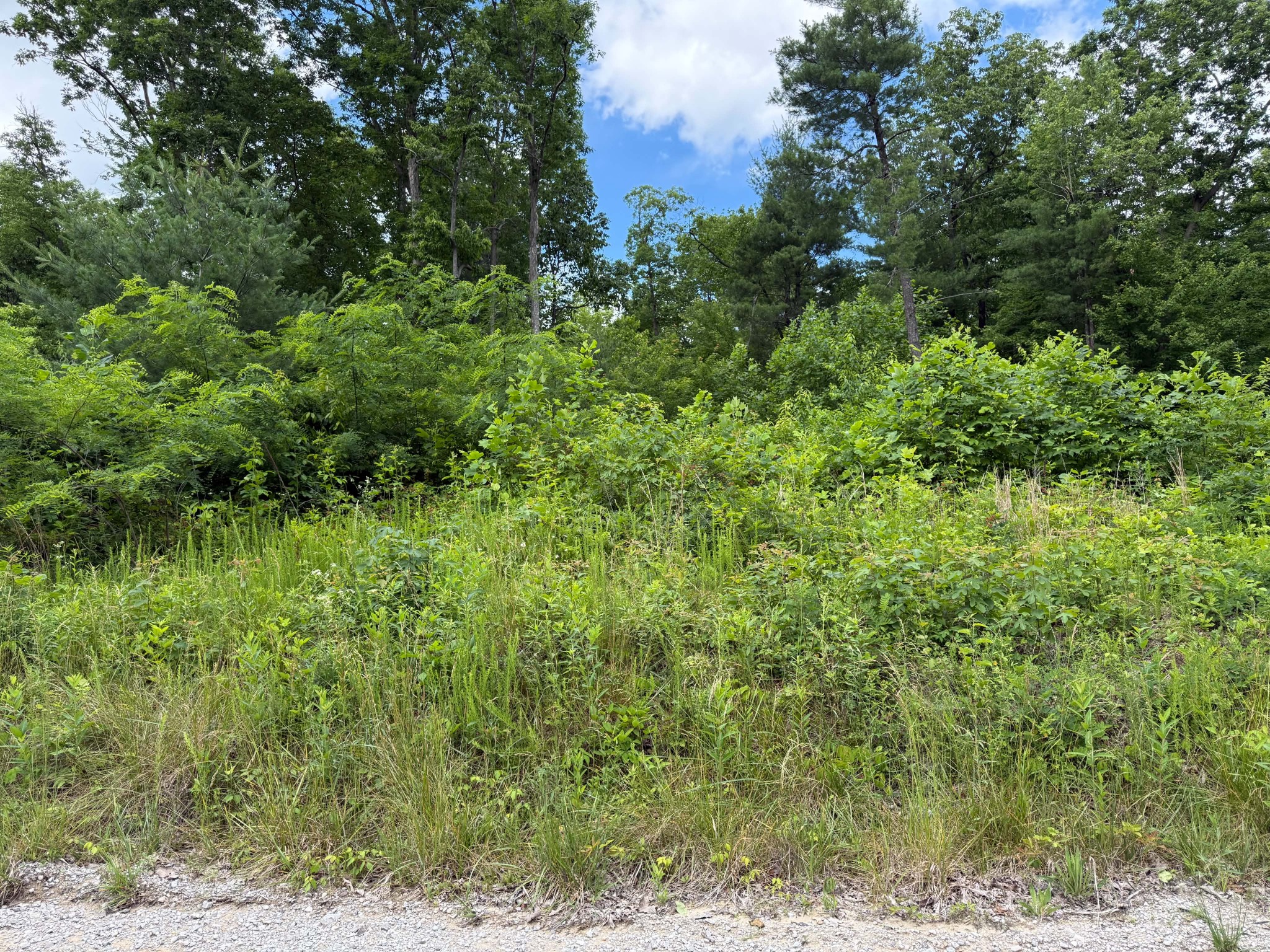 3 Coal Banks Rd