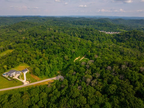 Photo of 1020 Cartwright Close Dr, Brentwood, TN 37027 (MLS # 3034777)