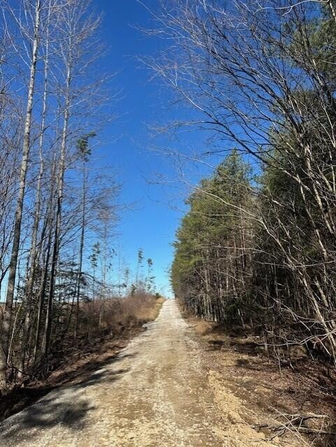 1 50th Avenue