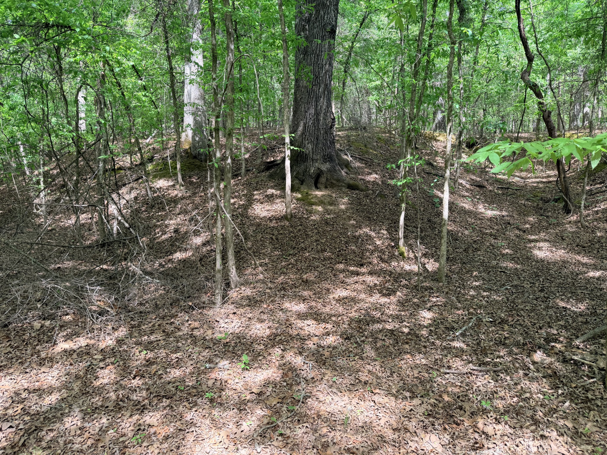 496 Gin Pond Drive - Photo 4