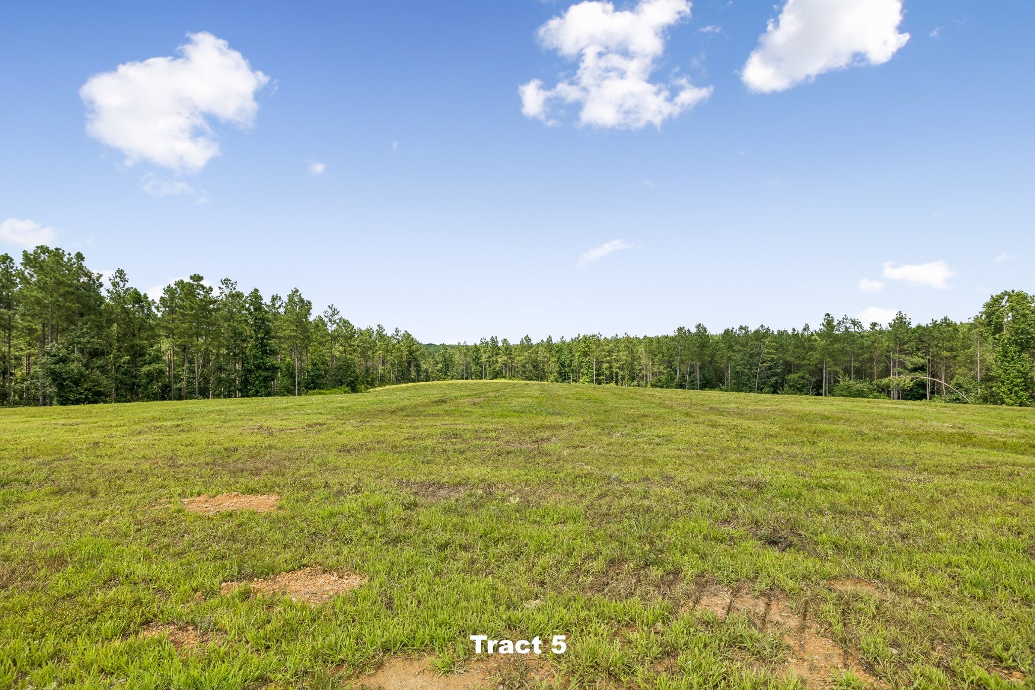 1420 Big Swan Creek Rd