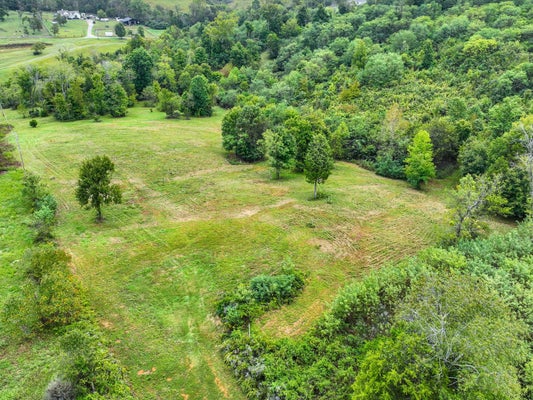 1384 CLIFF AMOS RD, SPRING HILL, TN 37174 - Image 40ea50e22cba204cceffbf016970fa37/1161987644