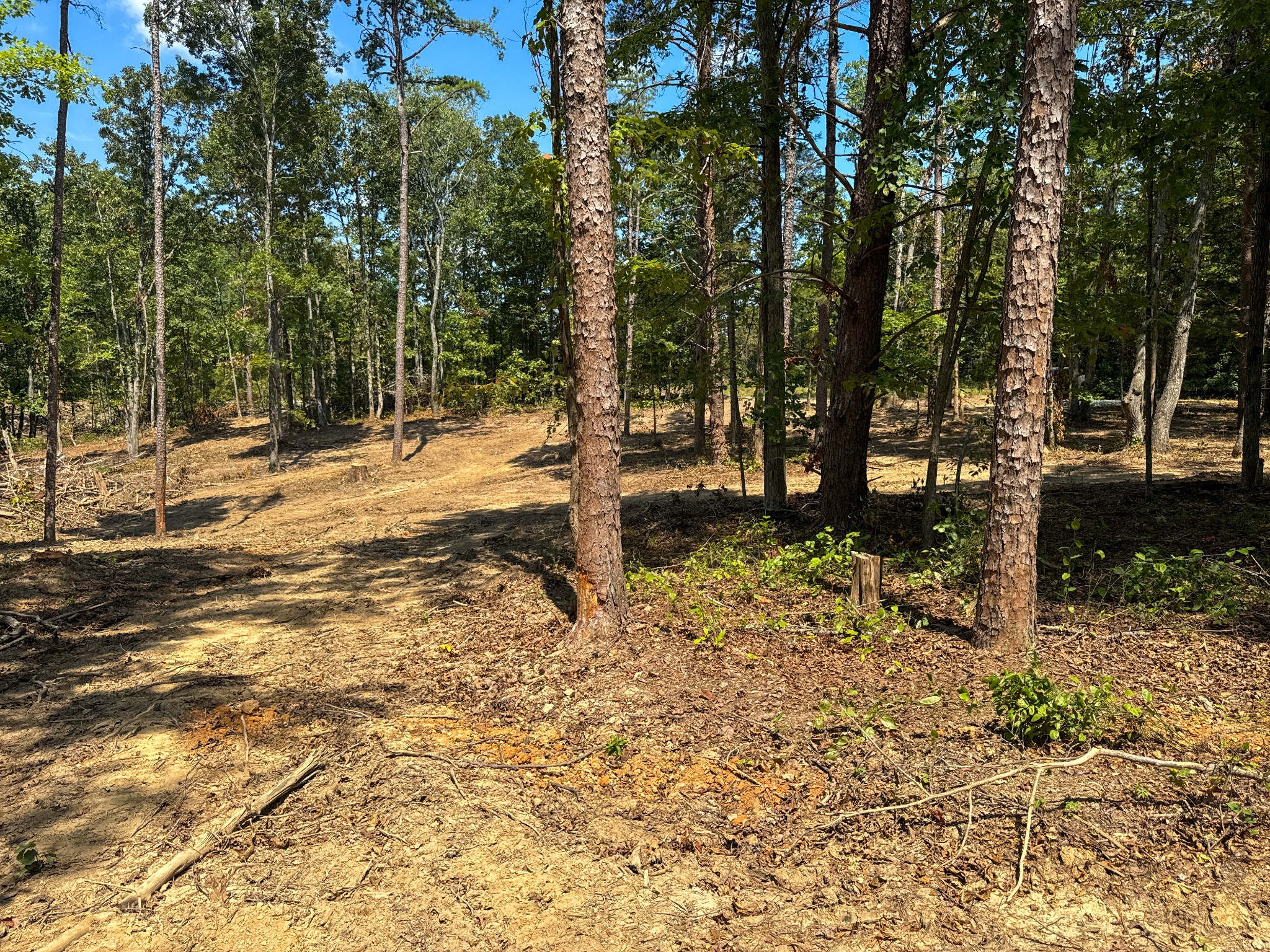 0 Richard Dorning Rd