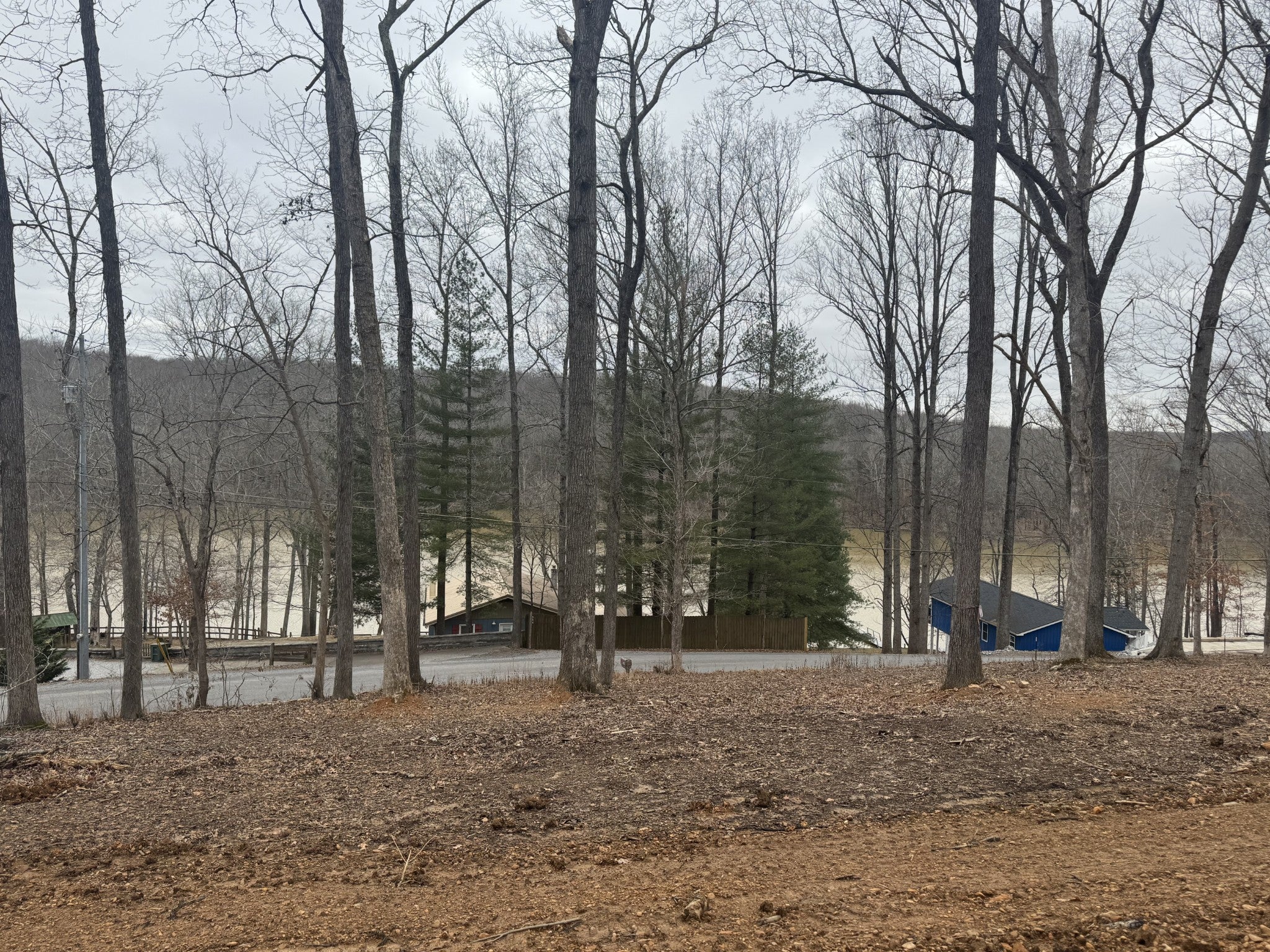 559 Hickman Shores Rd