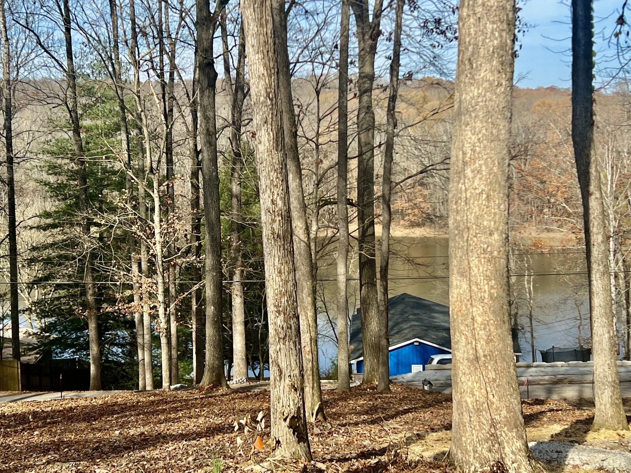 559 Hickman Shores Rd