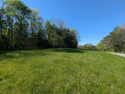5 OLD STAGE ROAD, ARDMORE, TN 38449 - Image 412db0a4c4aef2e228cd1f60f06c13aa/2681526073
