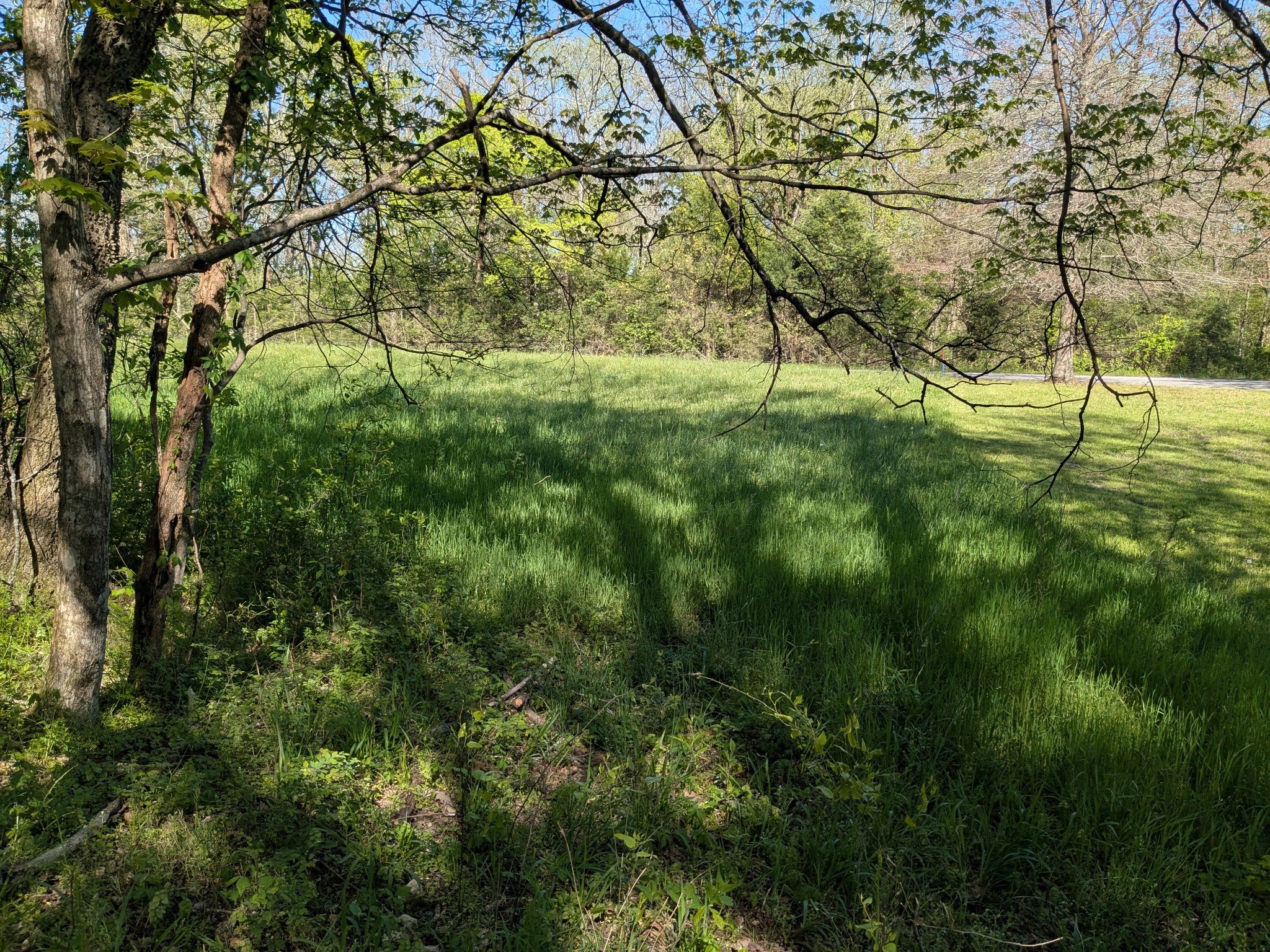 5 Old Stage Road