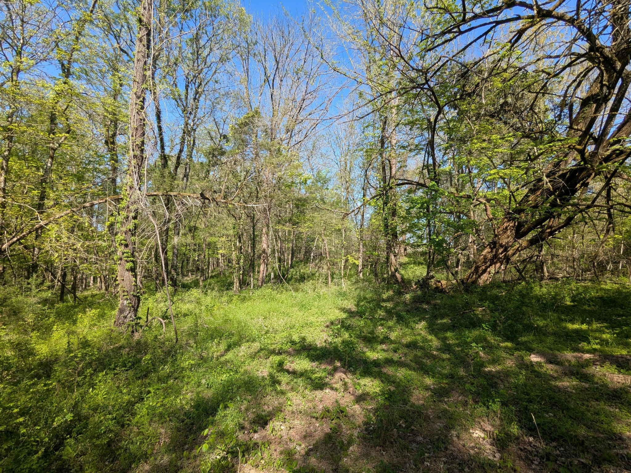 5 Old Stage Road