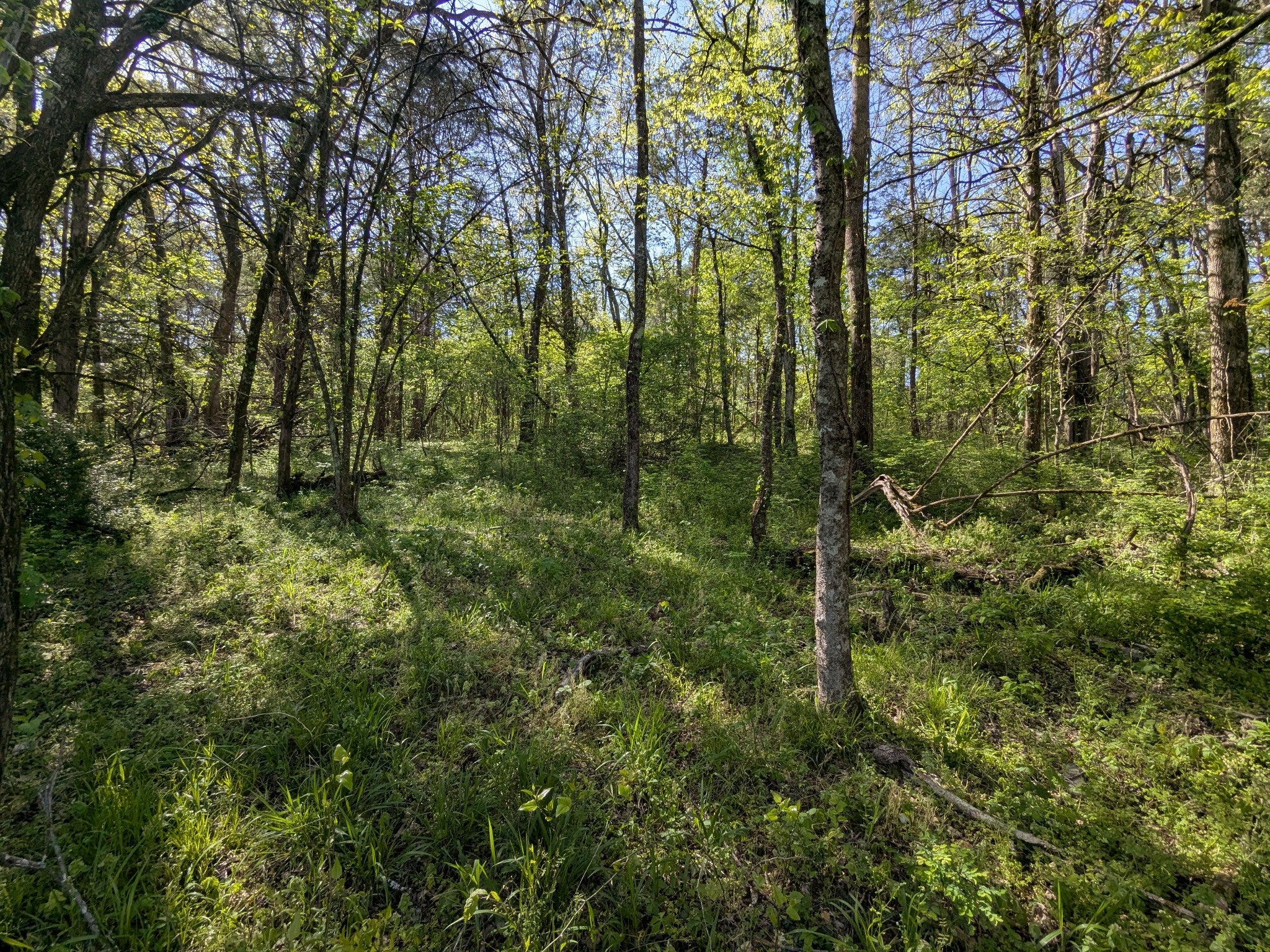 5 Old Stage Road