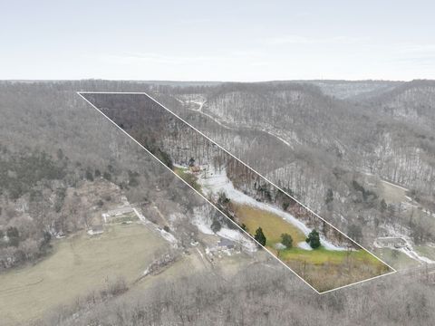 7401 Burks Hollow Rd Christiana TN 37037