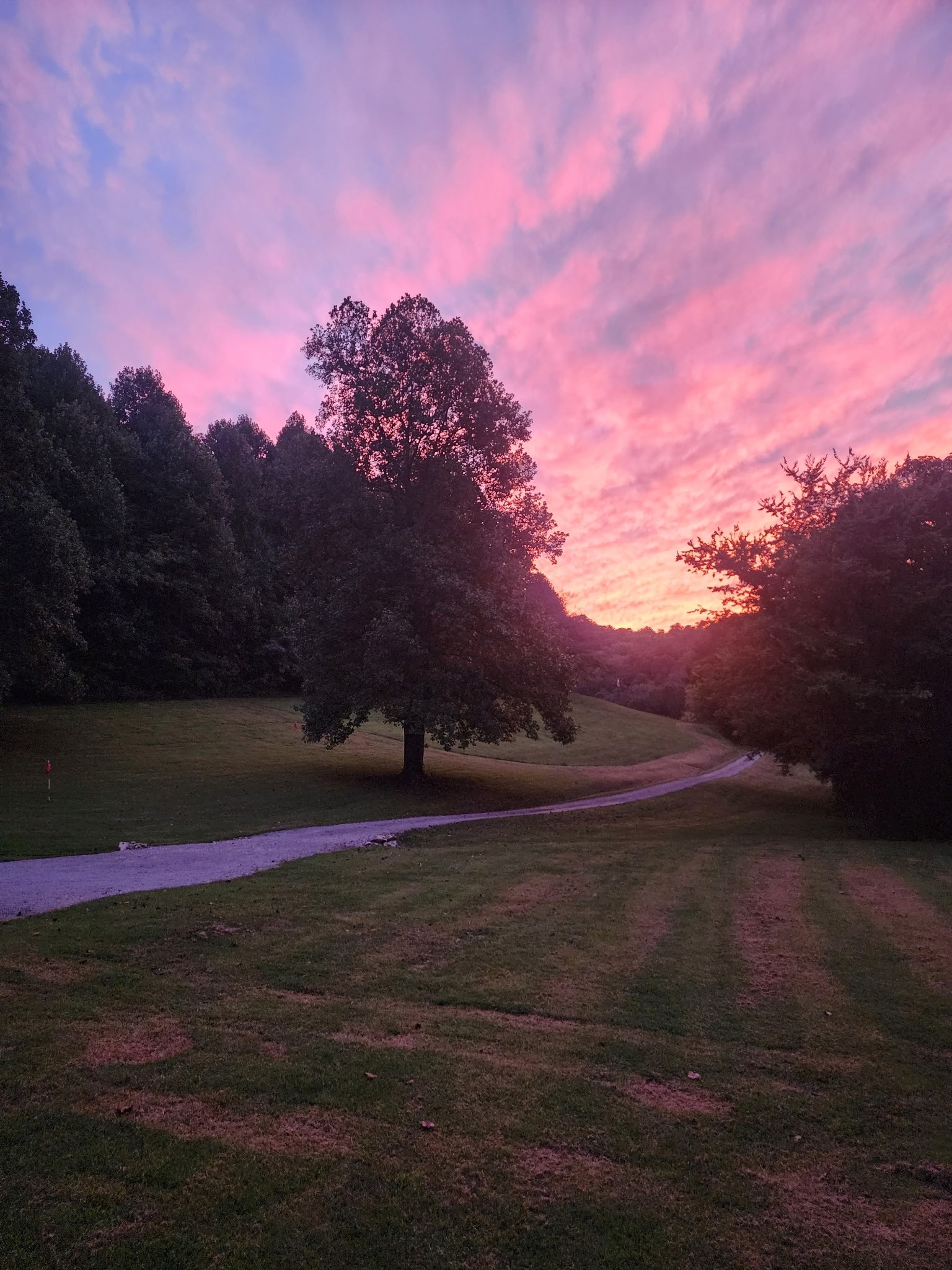 7401 Burks Hollow Rd