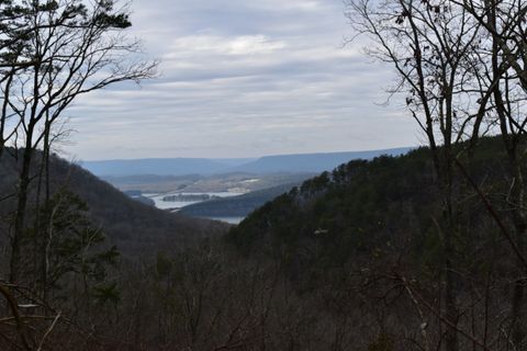 0 Birds Eye Way Guild TN 37340