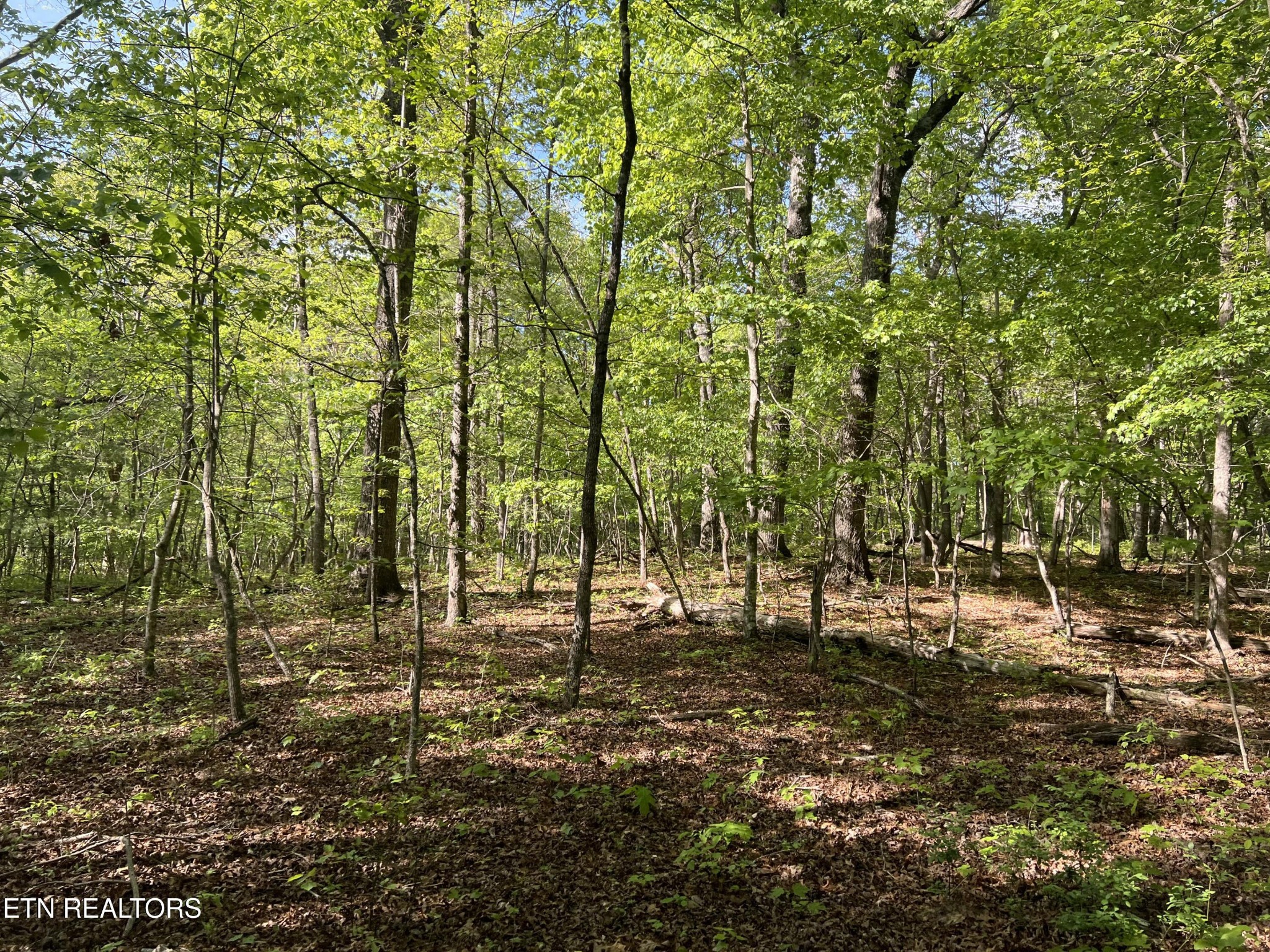 658 Peavine Firetower Rd