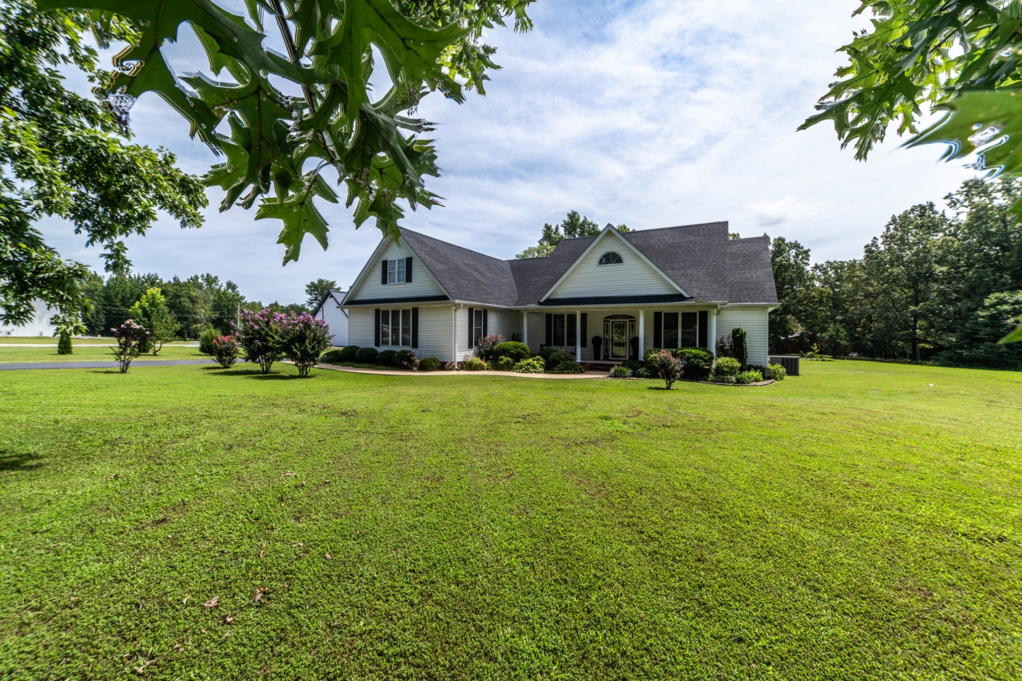 390 Carmen Dr