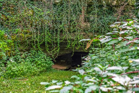 1190 Flat Creek Highway Lynchburg TN 37352