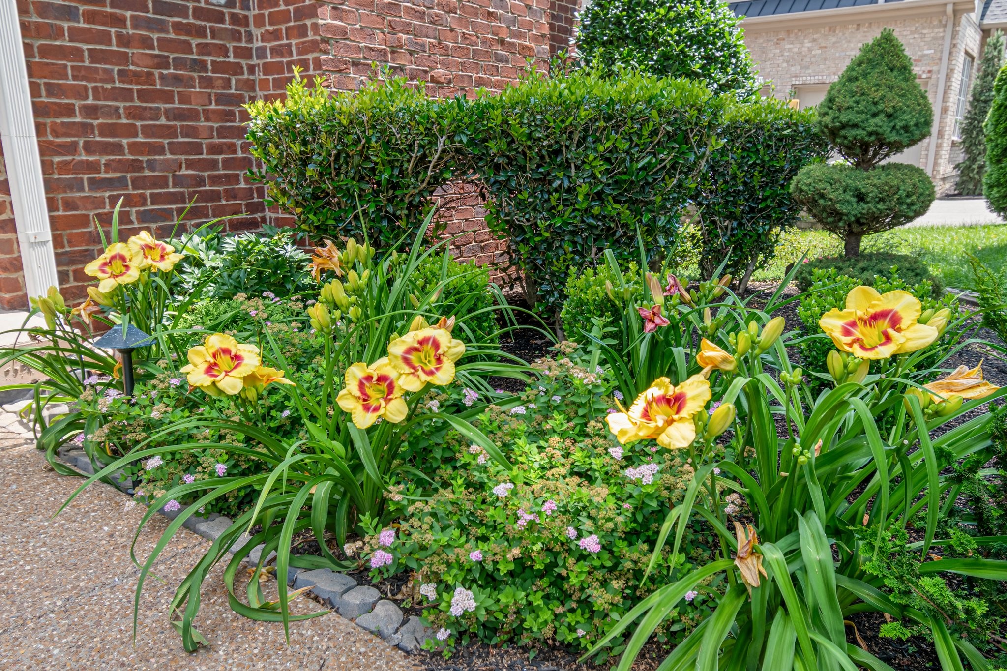 Brentwood, Tennessee 37027, United States, 5 Bedrooms Bedrooms, ,6 BathroomsBathrooms,Residential,Active,201165