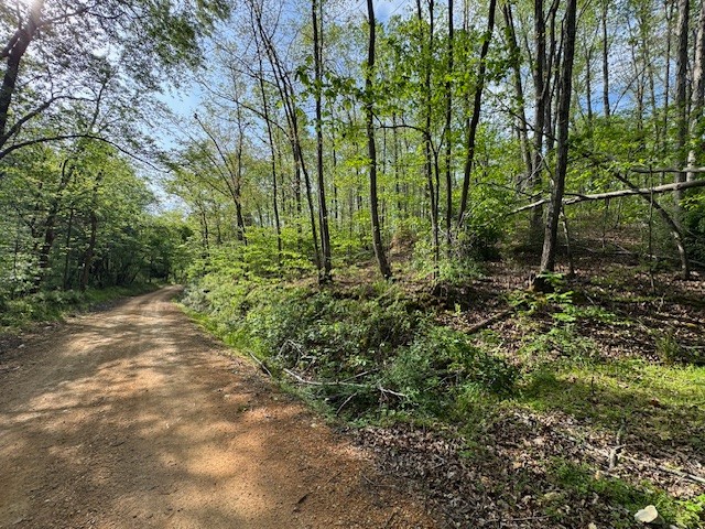 Photo 1 of 12 — 455 Moss Spring Hollow Road, Centerville, TN 37033