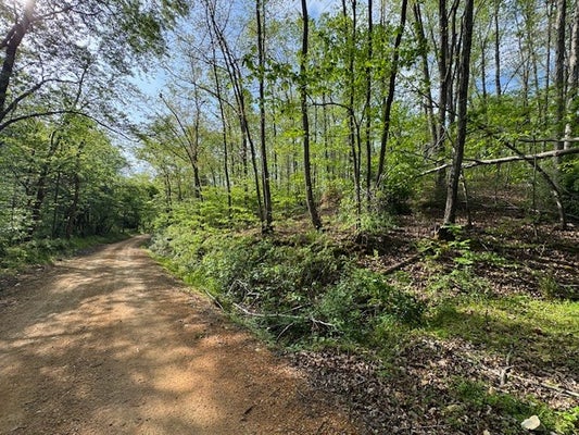 455 MOSS SPRING HOLLOW RD, CENTERVILLE, TN 37033 - Image 41b2f19c3fa3f2f60d8b2f66b012946b/2559835177