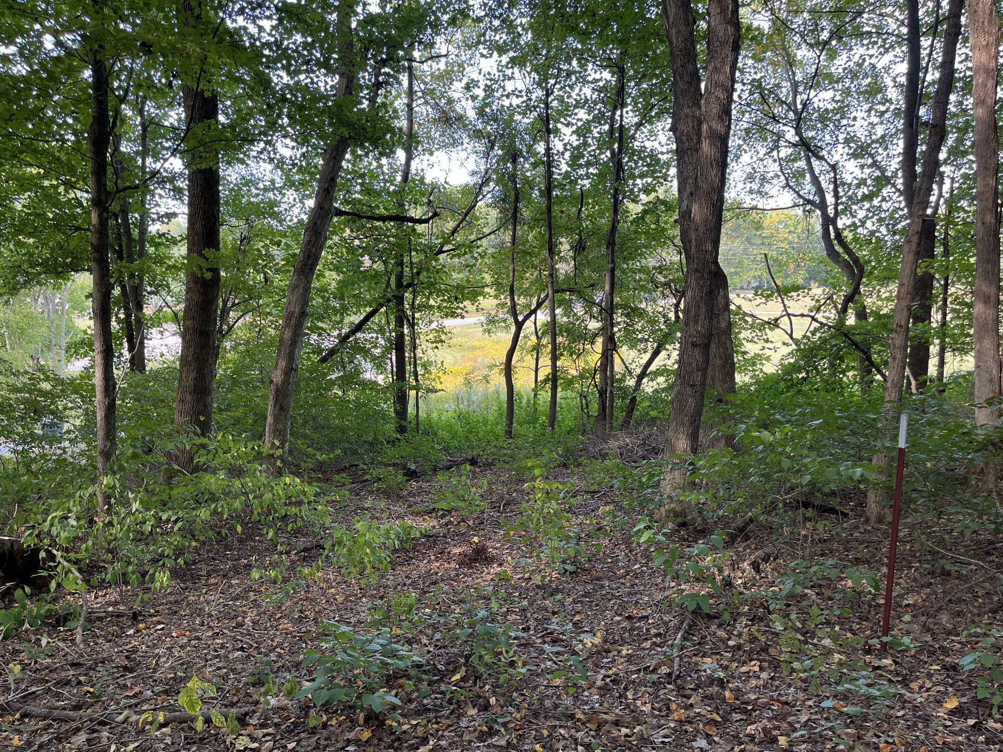 4703 Mount Zion Road