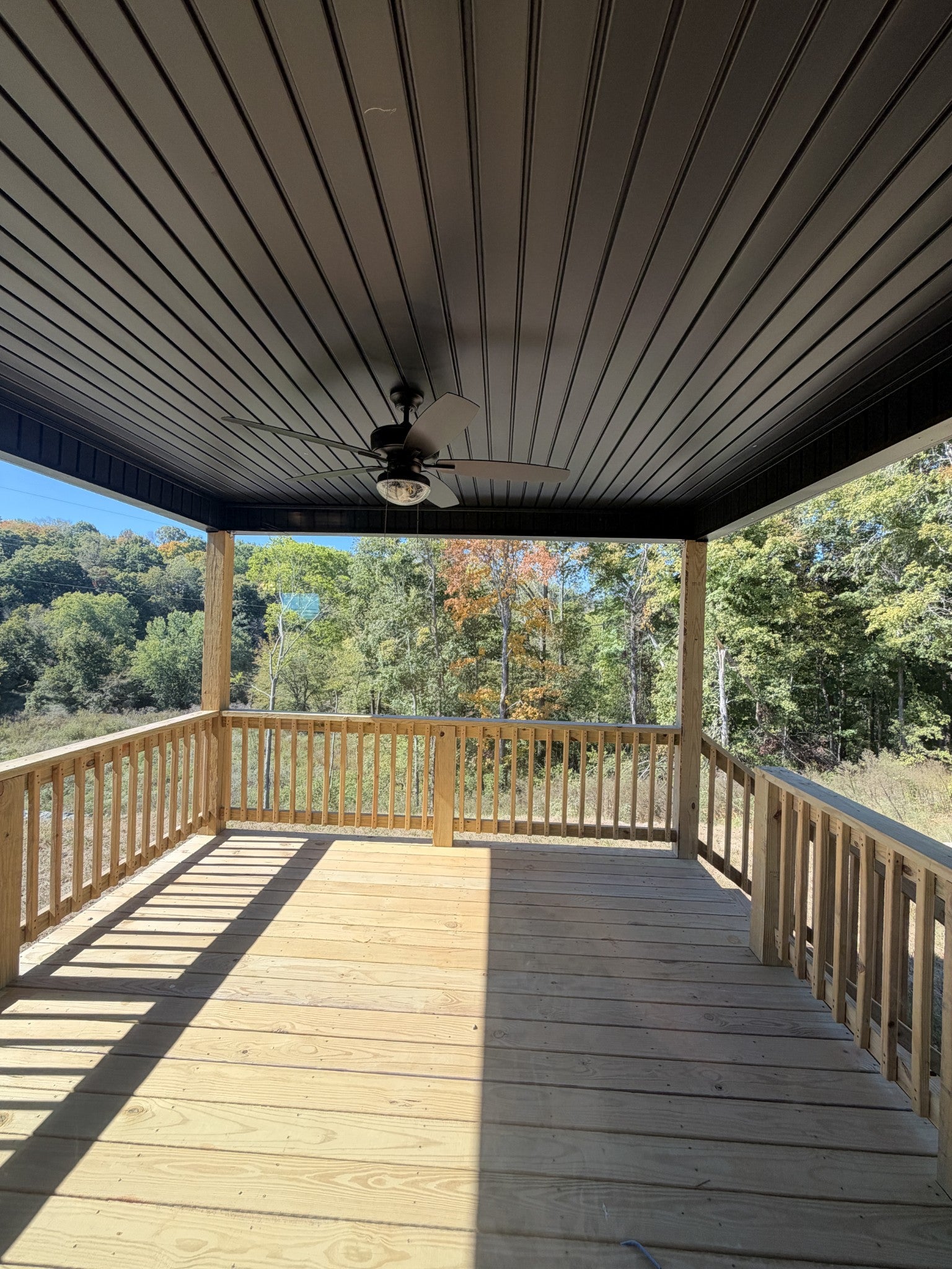 336 Cardinal Creek